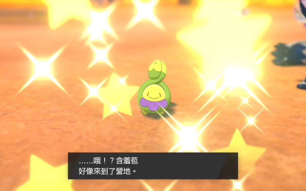 宝可梦剑盾 咖喱闪光含羞苞!咖喱第九闪,共46096锅,6880只.