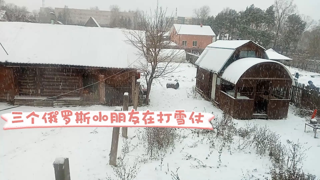 俄罗斯打雪仗图片