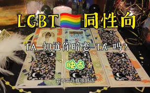 Download Video: 【十一塔罗】同性占卜：TA知道你暗恋TA吗？TA 的想法？目前情感发展？