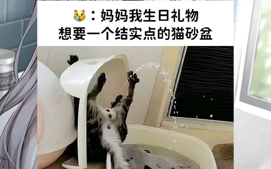 猫狗梗图2 晚安朋友~让猫猫和狗狗来治愈你的夜晚吧!哔哩哔哩bilibili