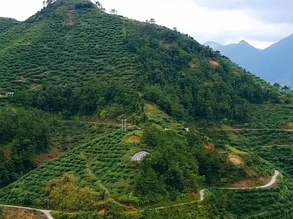 风水宝地寻龙点穴风水先生堪舆寻龙点穴哔哩哔哩bilibili