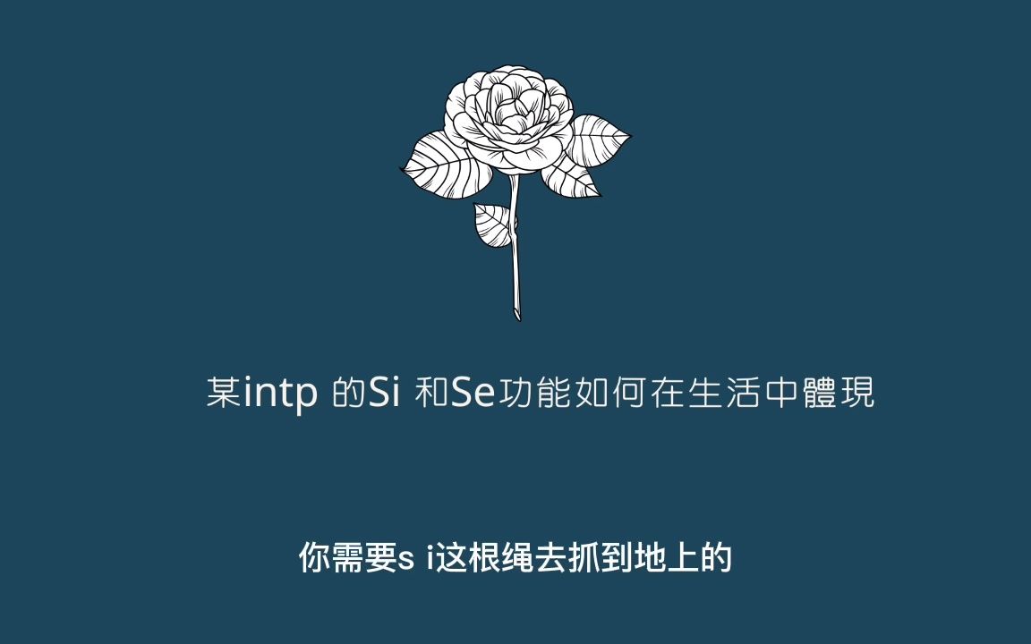 某intp 的Si 和Se功能如何在生活中体现哔哩哔哩bilibili