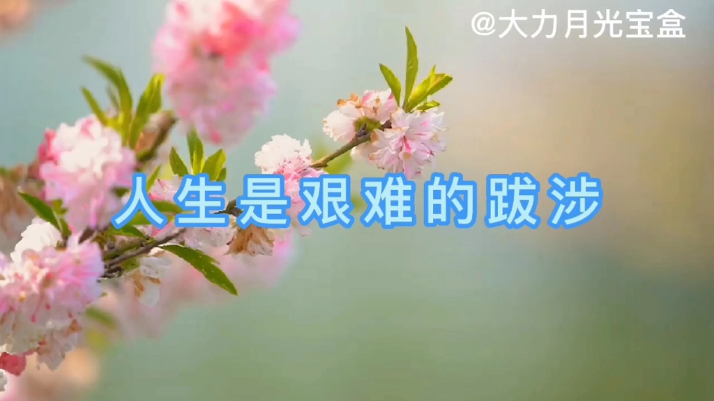 人生是艰难的跋涉哔哩哔哩bilibili