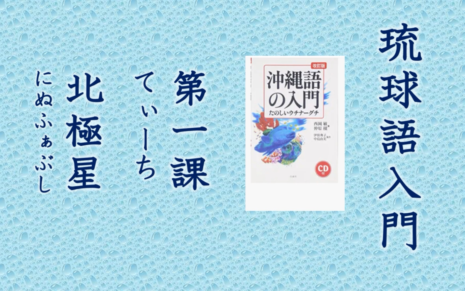 琉球语(冲绳语)入门 うちなーぐち第一课 北极星にぬふぁぶし【限掌握日语基础者学习】哔哩哔哩bilibili