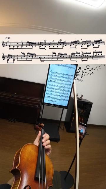 巴赫小无-bwv1003《行板》双音讲解