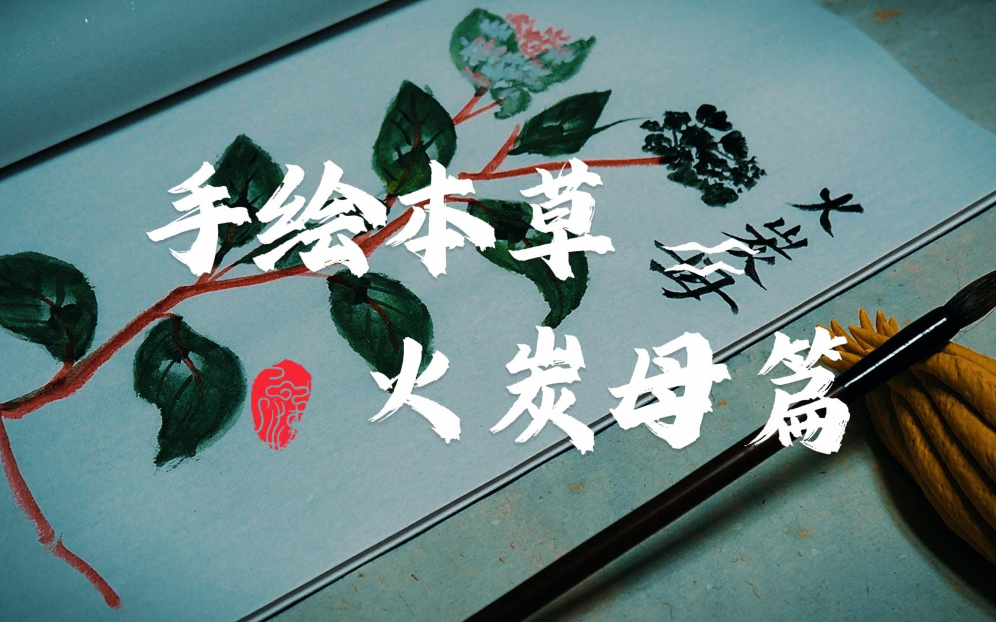 手绘本草·火炭母篇