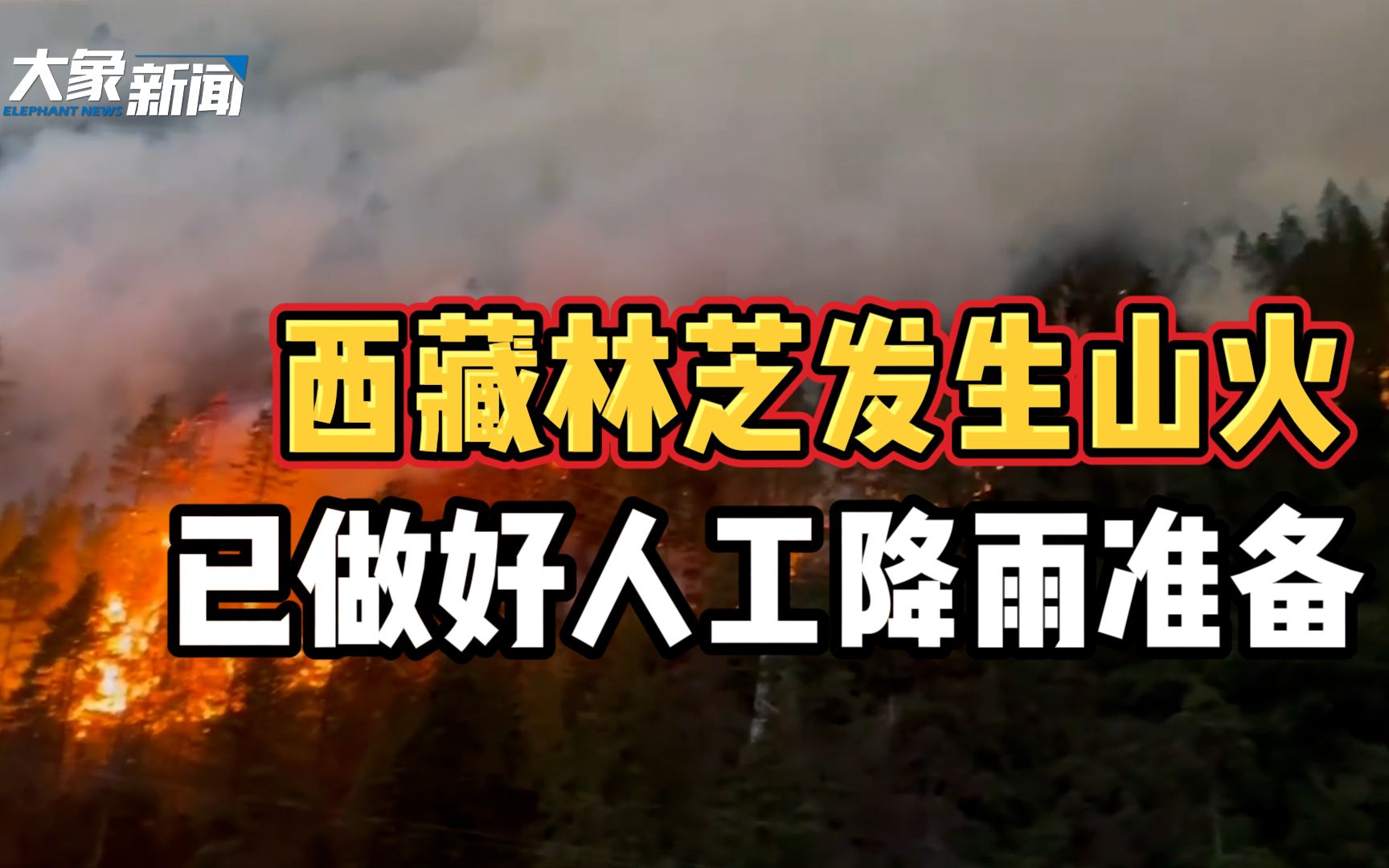 西藏林芝发生山火:火势迅猛 气象部门已做好人工降雨准备哔哩哔哩bilibili