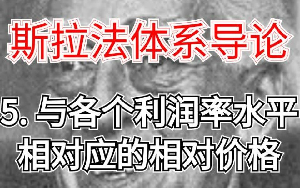 斯拉法体系导论(5. 与各个利润率水平相对应的相对价格)哔哩哔哩bilibili