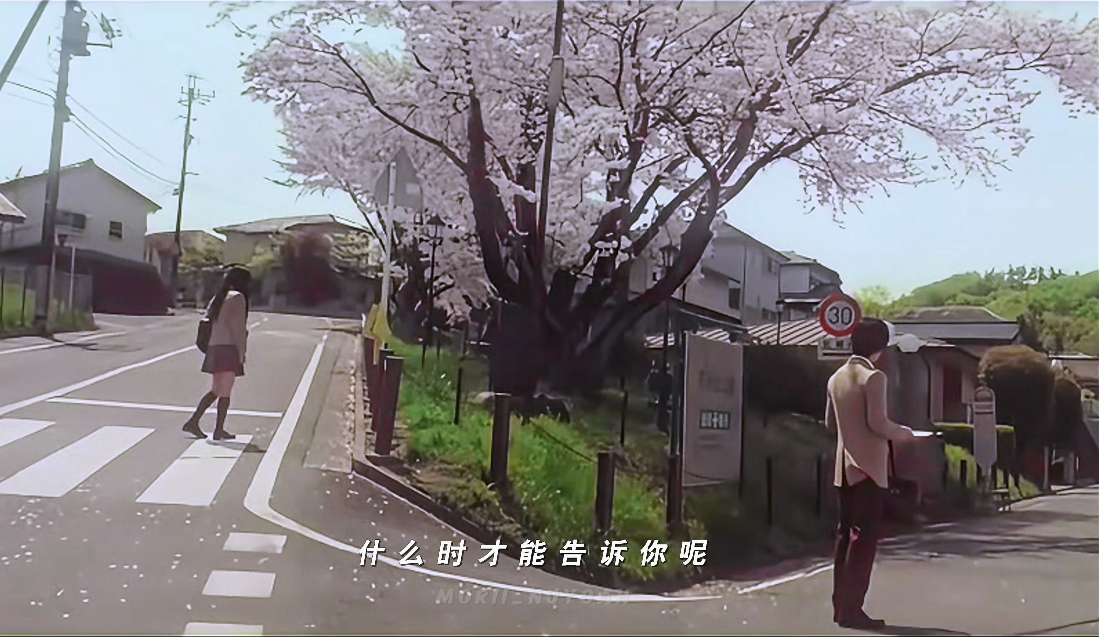 【三浦春马×多部未华子】樱花树下的悸动,什么时候能告诉你.