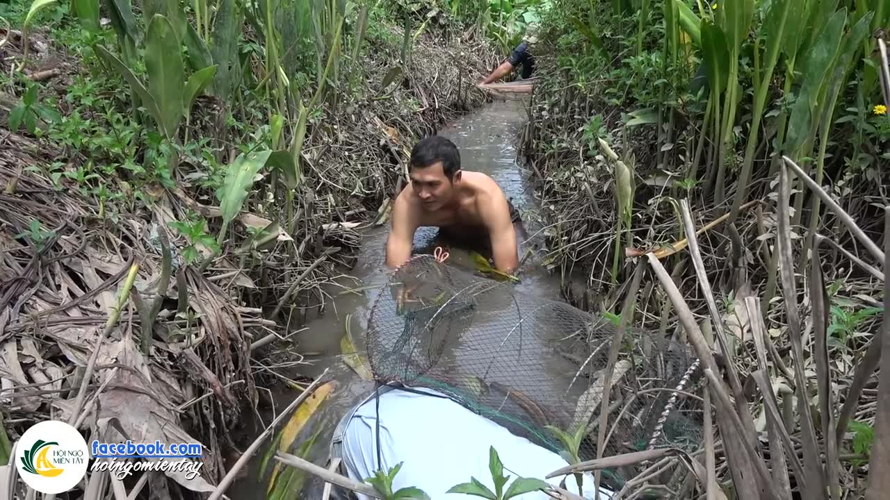 [图]Cao Thủ Bắt Cá Trên SÔNG MÊ KÔNG _ Hội Ngộ Miền Tây