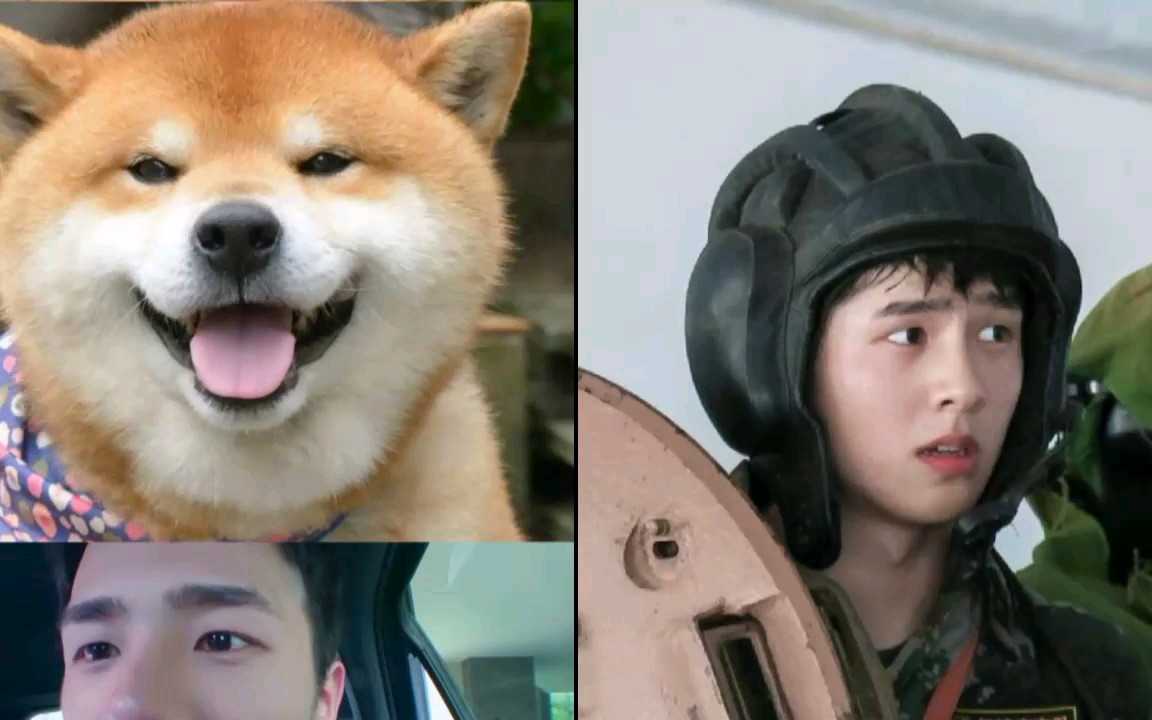 【刘昊然柴犬混搭第二弹】换个模式更一波