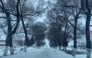 下载视频: 西北农村的雪景