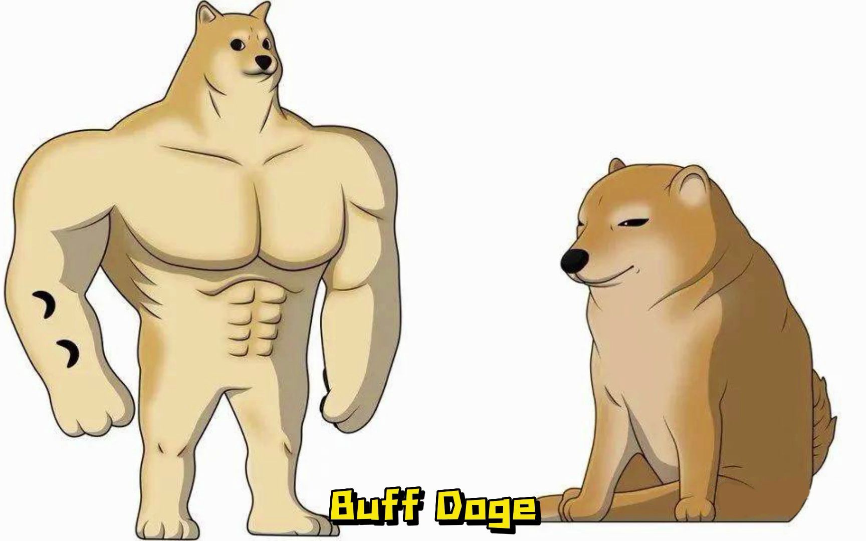 buffdoge后室中的霸道狗总还有一只话痨猴子超刺激