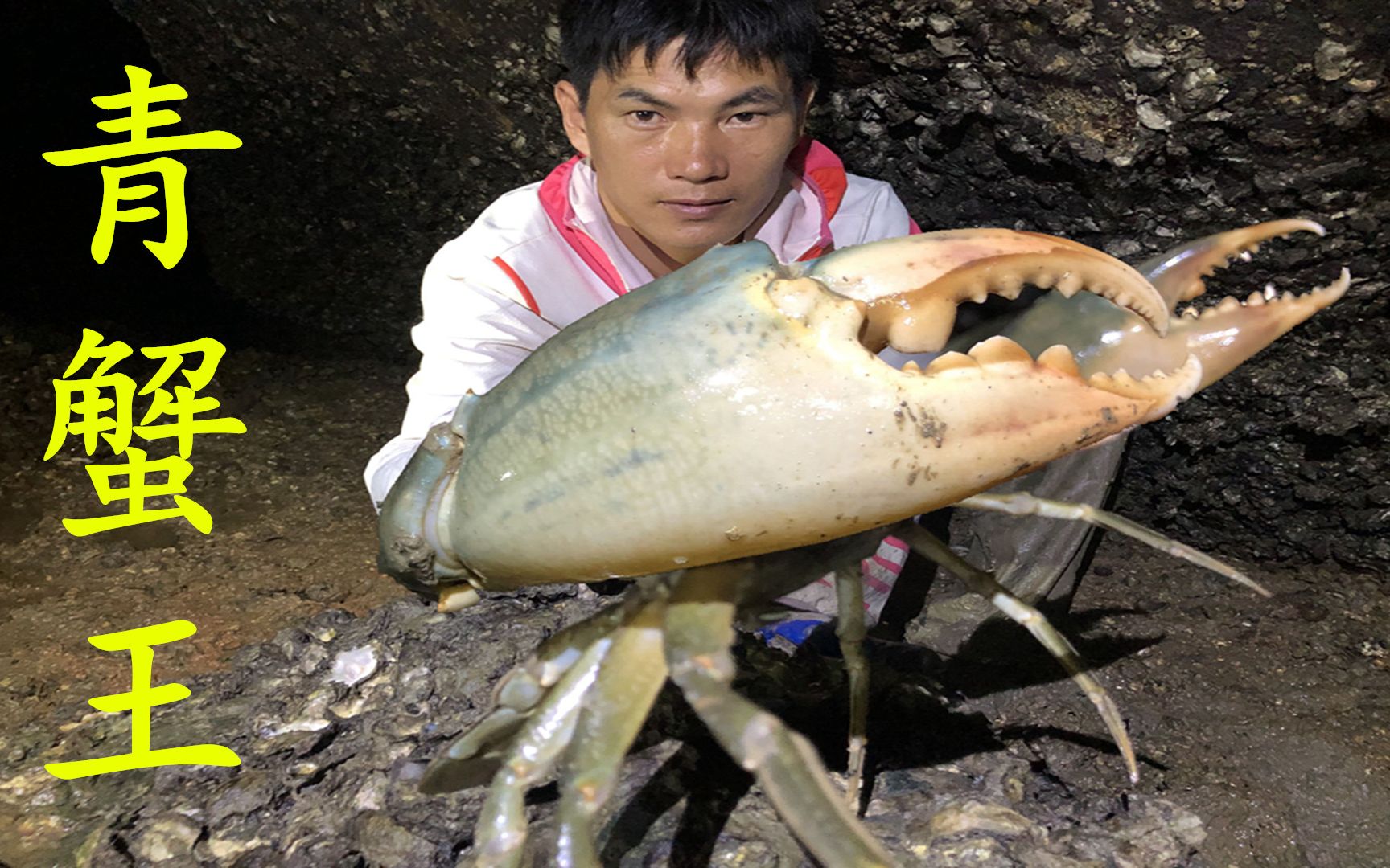 世界上最大的青蟹王图片