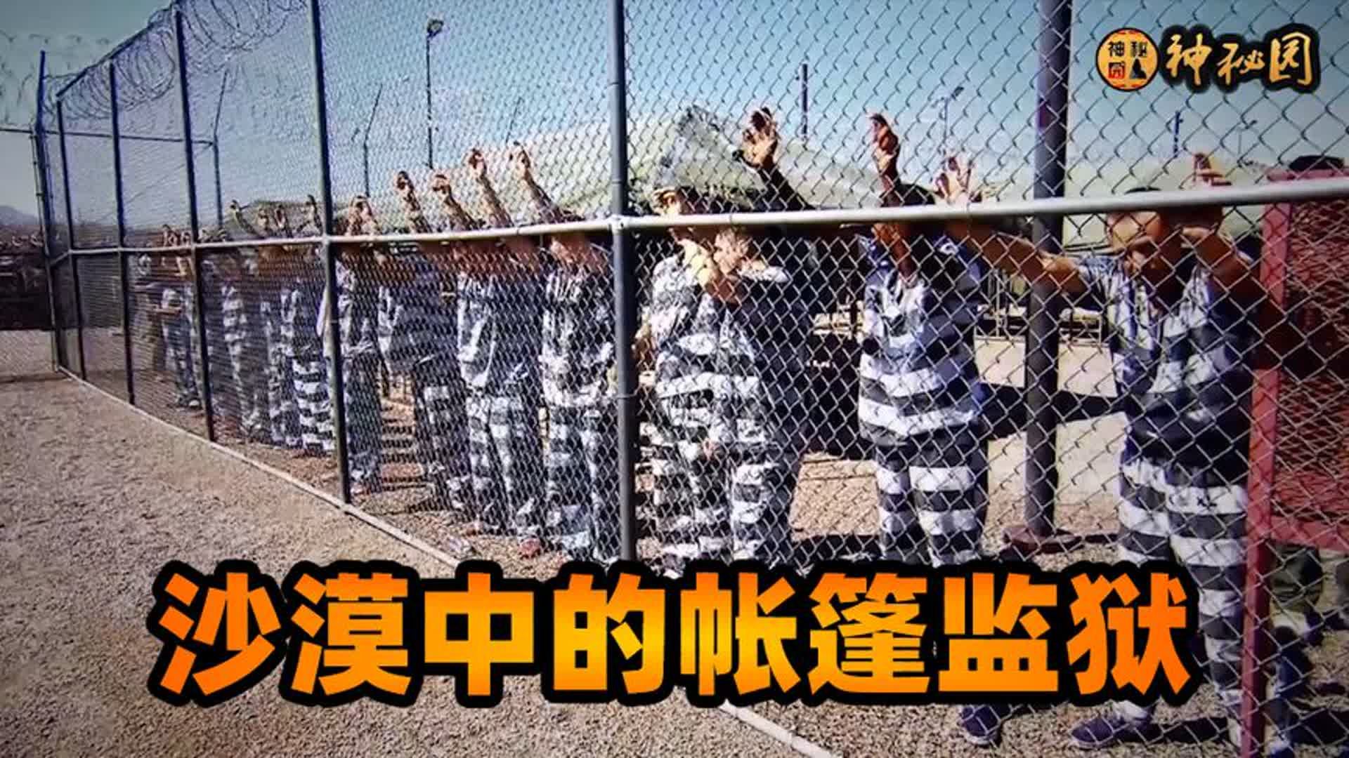 江西珠湖农场监狱狱长图片