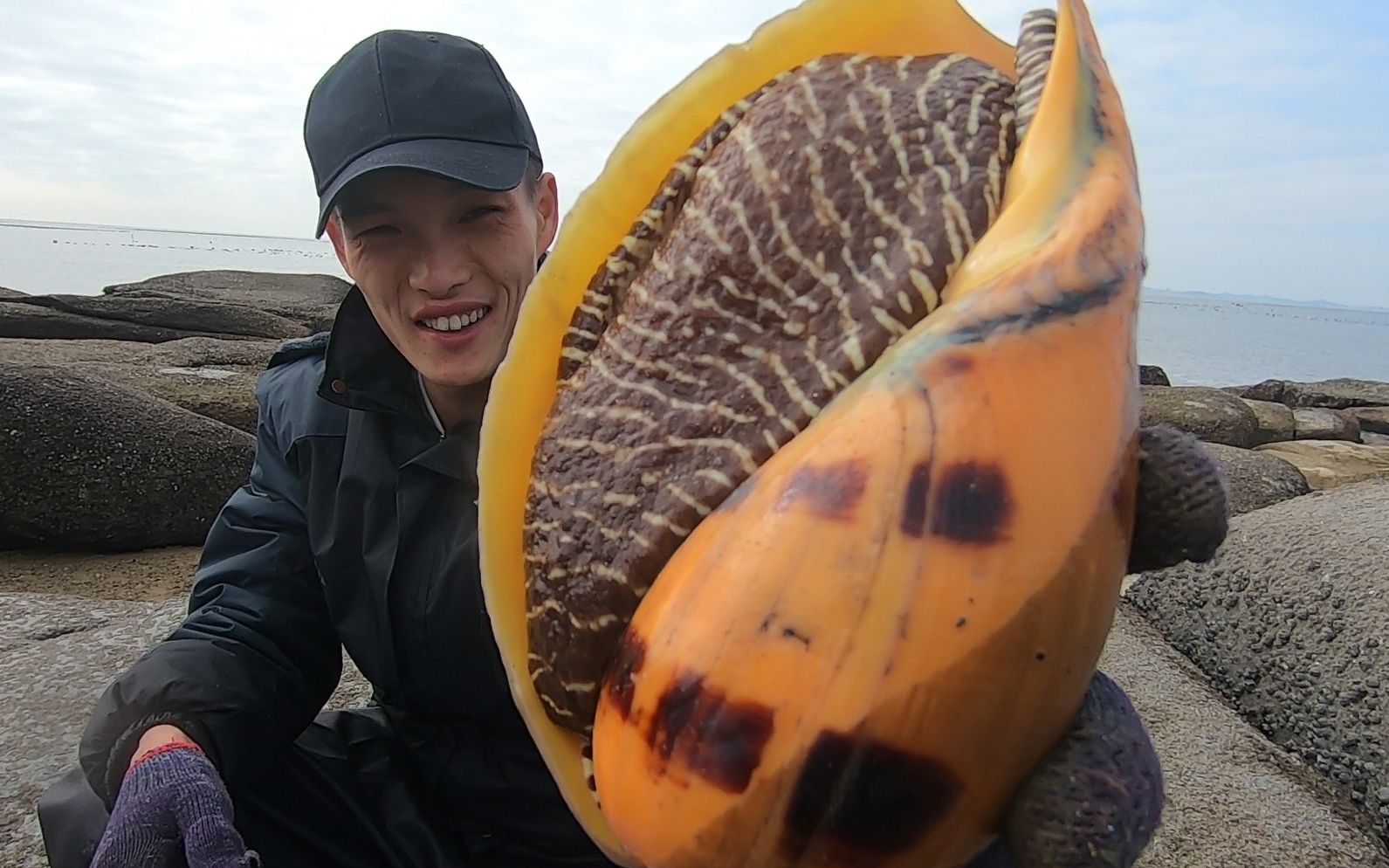 退潮后海边大货成群,小川赶海发现"黄金蛋",近看是只超级大螺