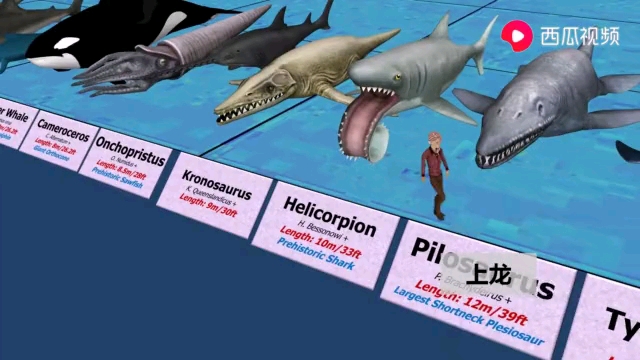 国外大城制作片:海洋动物对比现今蓝鲸最大