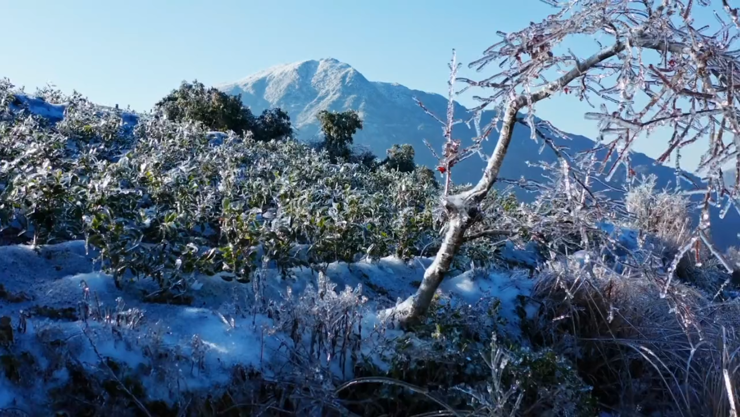 最美柘荣东狮山雪景