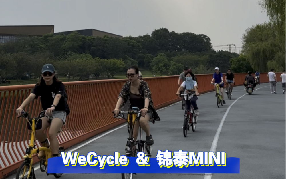 WeCycle & 锦泰MINI|小布骑行哔哩哔哩bilibili