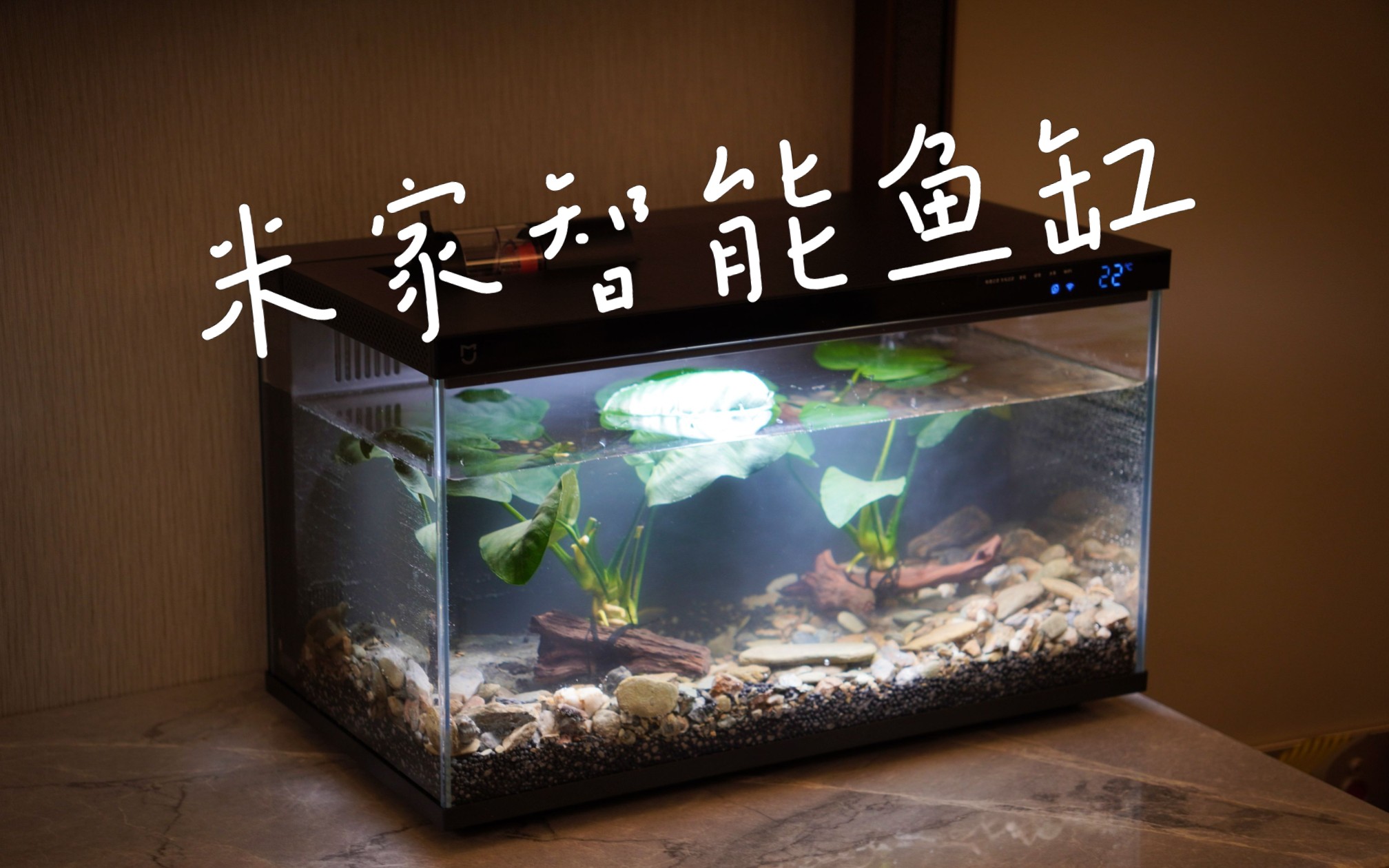 小米_米家智能鱼缸_萌新开箱_先把水泡上_鱼还在路上