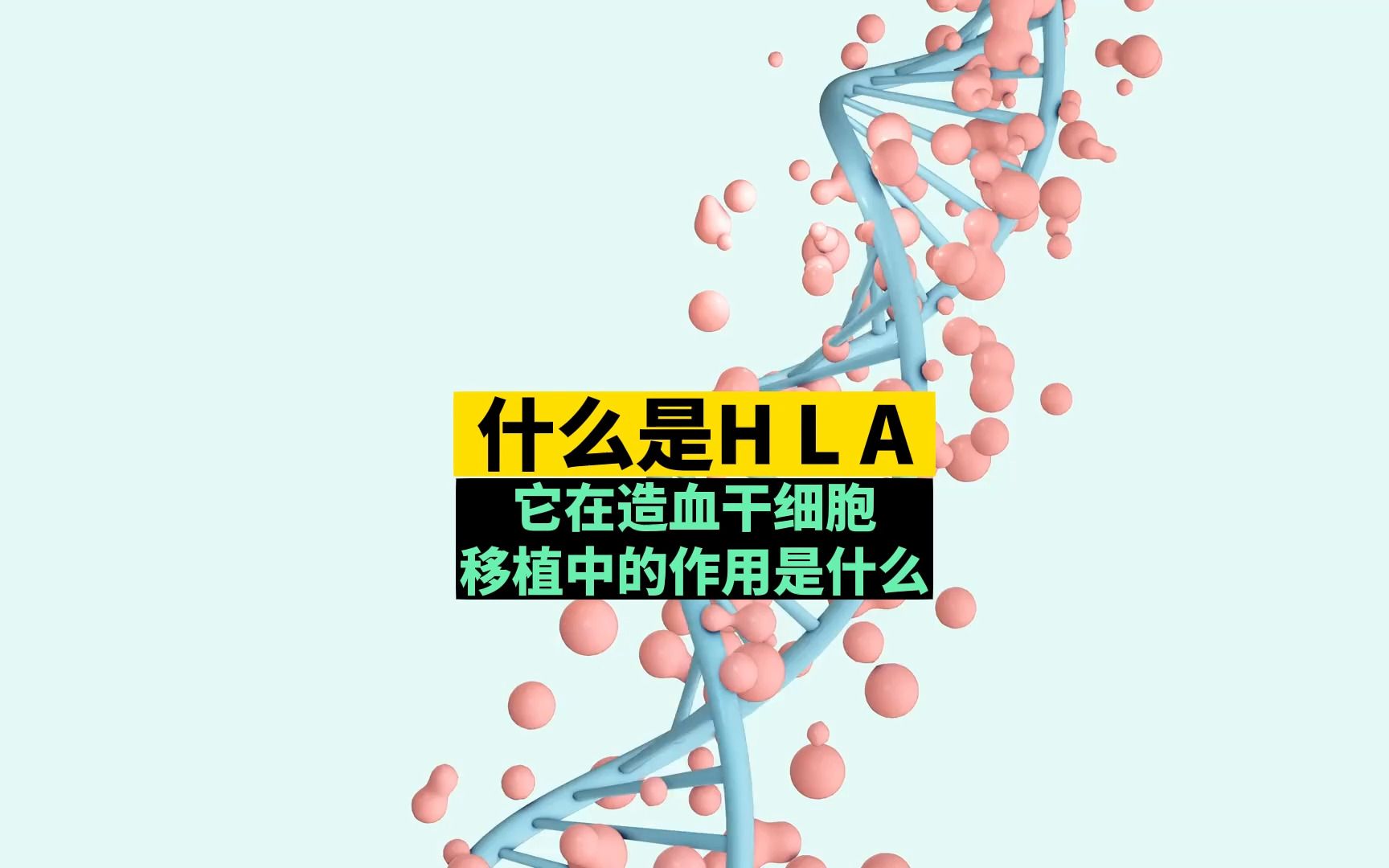 什么是HLA,它在造血干细胞移植中的作用是什么?哔哩哔哩bilibili