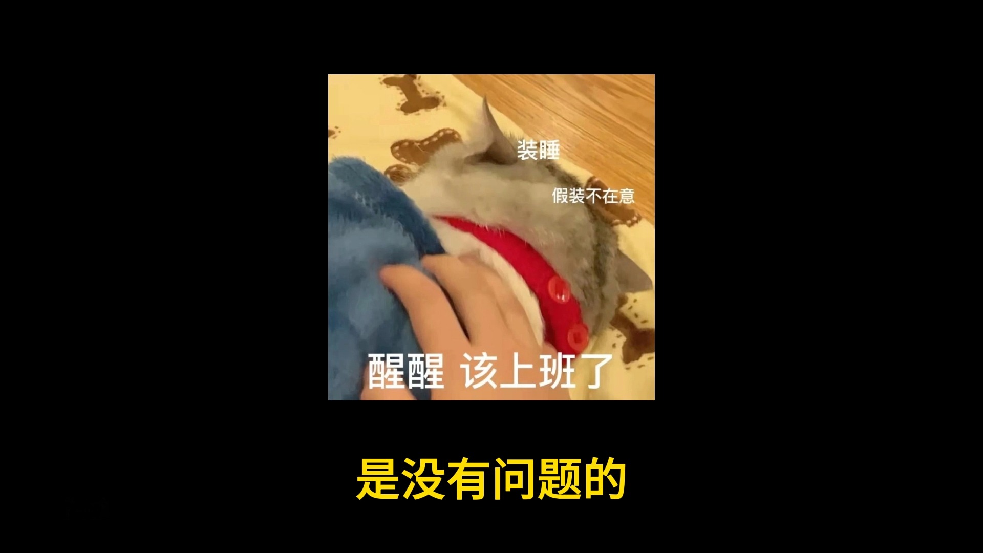 这也算是又当又立的一种吧?哔哩哔哩bilibili