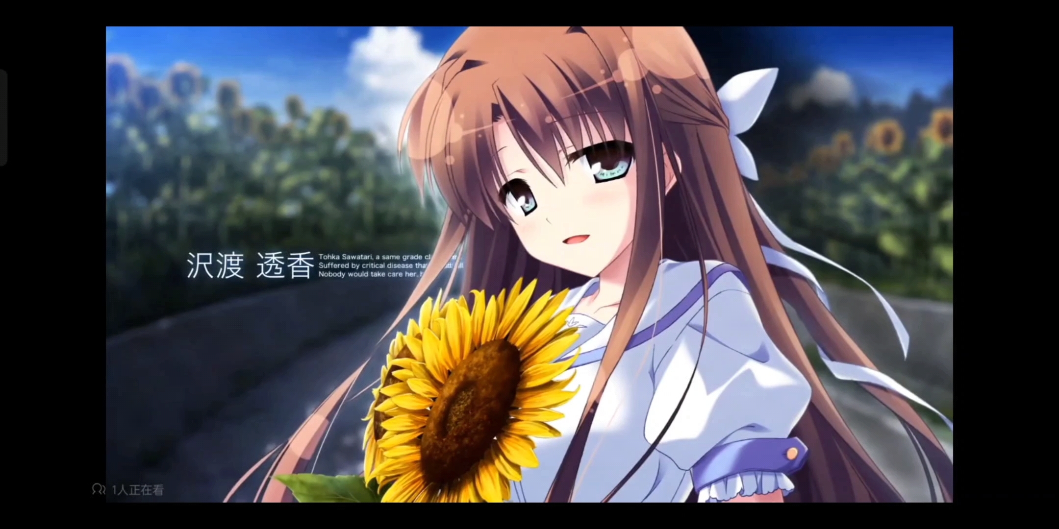 【galgame/夏空的英仙座】安卓 pc