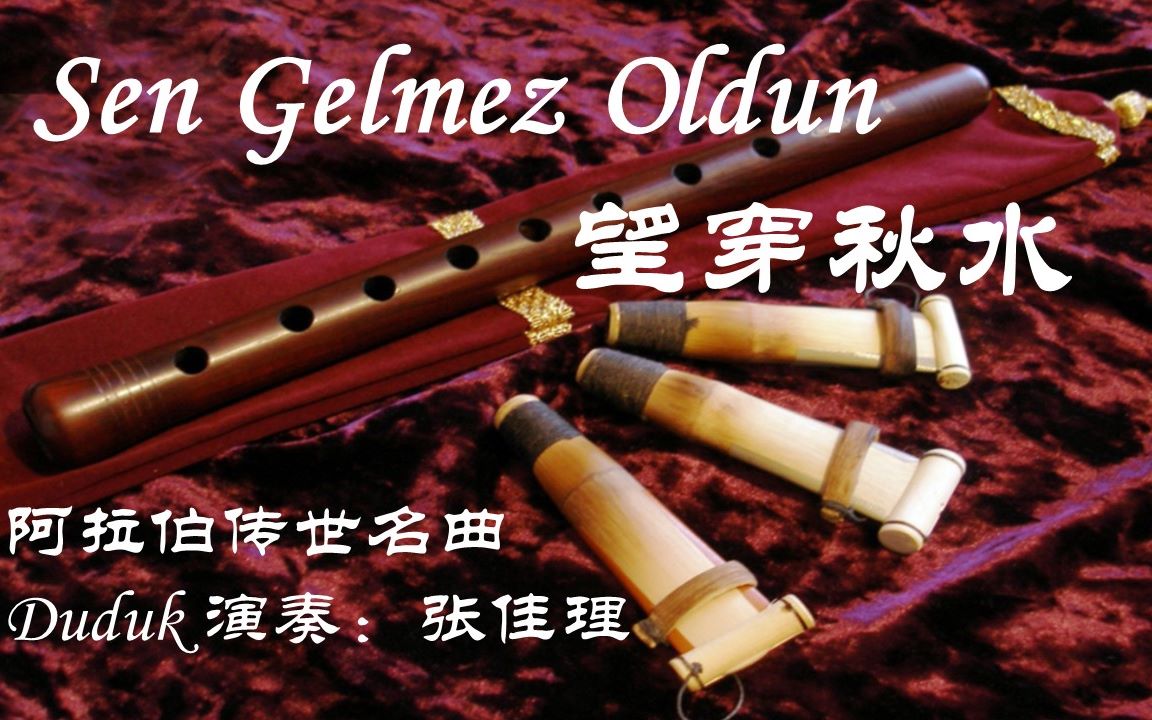 [图]【Duduk|嘟嘟克笛】Sen Gelmez Oldun|望穿秋水|