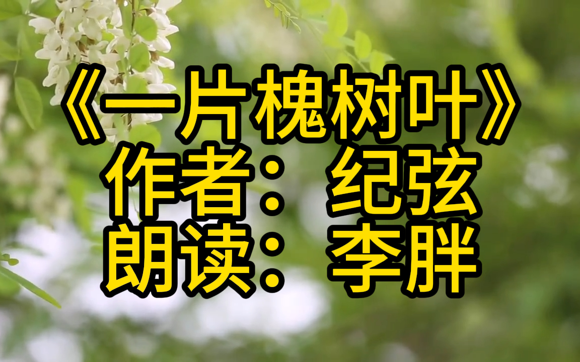 为你读诗——纪弦《一片槐树叶》