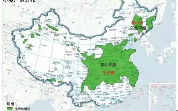 我国#农业种植地图@中联收获小麦机@中联收获花生机@中联收获玉米机关注我了解更多#三农信息哔哩哔哩bilibili