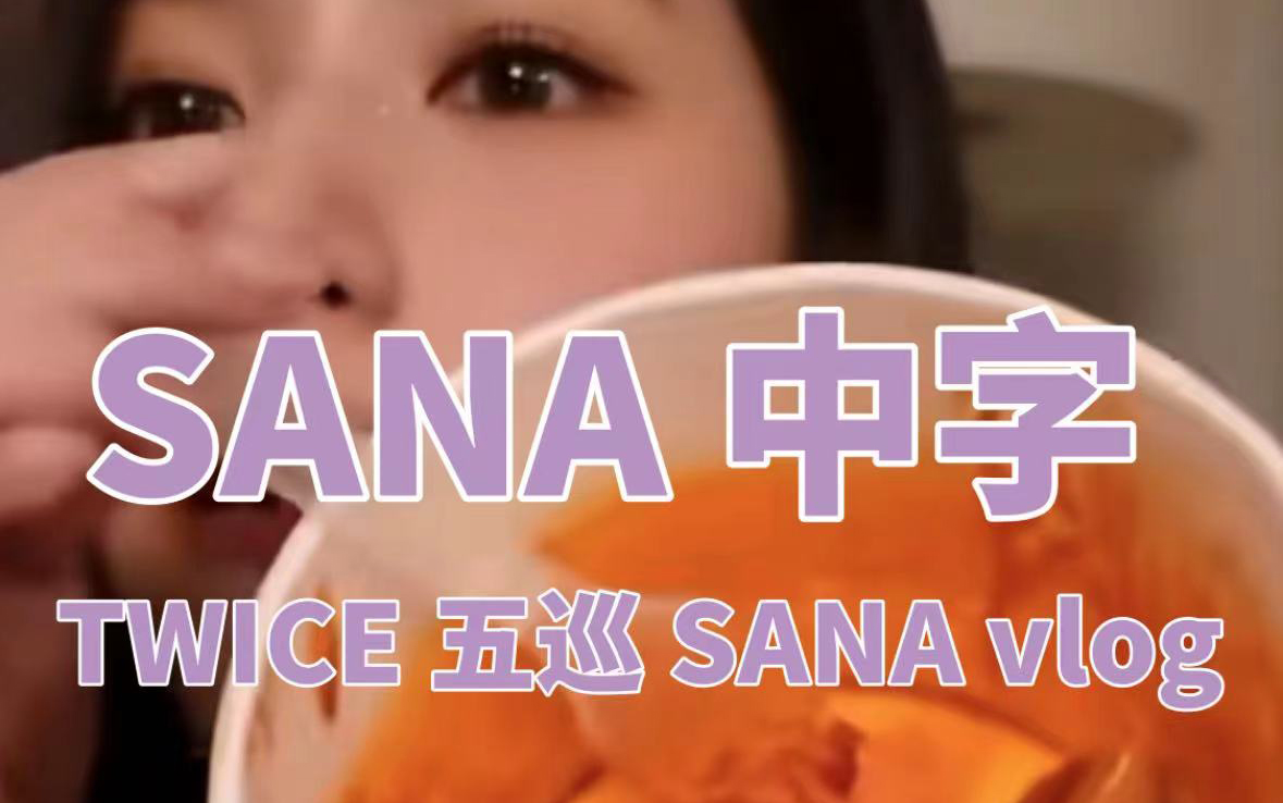 [图]【松果中字】Sana vlog TWICE 五巡 Sana篇