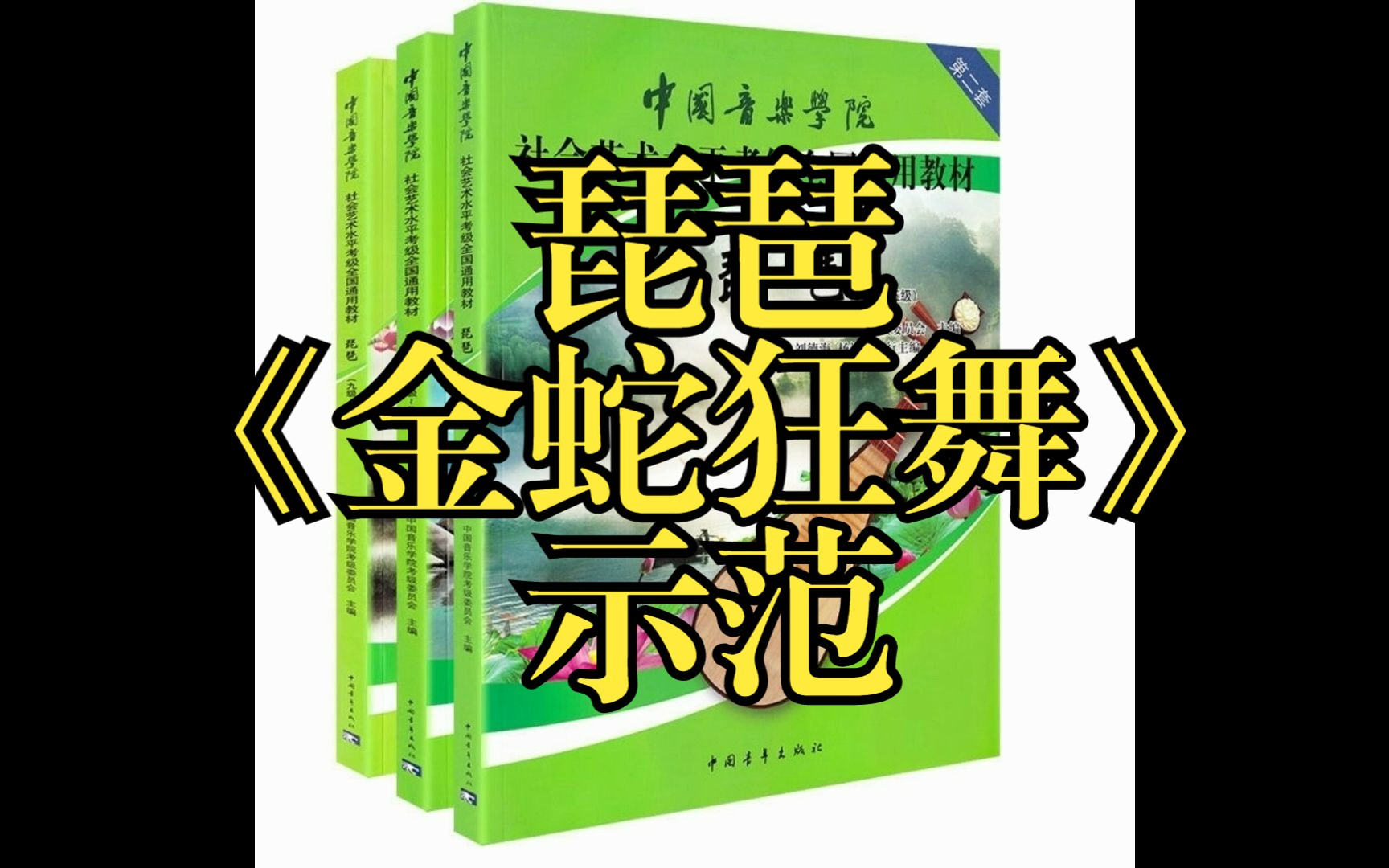 琵琶2級:《金蛇狂舞》(示範)中國音樂學院琵琶考級教材