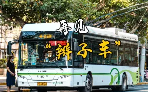 Download Video: 上海人的城市记忆！25路“辫子车”正式告别，“翘辫子”“煤精亭”你都见过吗？