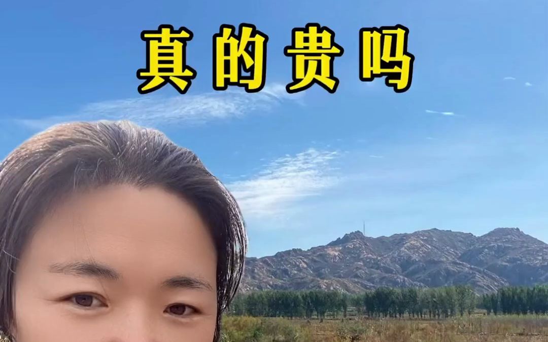 都想花最少的钱买到最好的东西,可好东西都是好贵呀!"好贵!好贵!