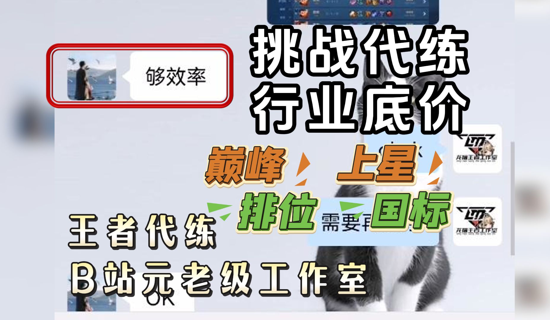 【王者代练】老牌工作室 效率完单不怕跑单 1.1w粉丝不怕跑路王者荣耀