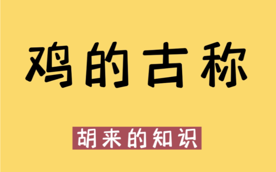 你知道鸡在古代叫什么名字吗?哔哩哔哩bilibili