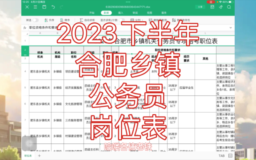 乡村振兴很燃!2023年下半年合肥乡镇公务员岗位表发布!哔哩哔哩bilibili