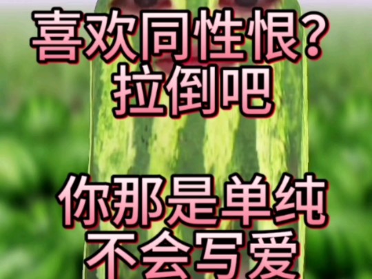 【东亚同人女】你是喜欢复杂的同性恨吗?放屁,你那是纯粹不懂爱哔哩哔哩bilibili