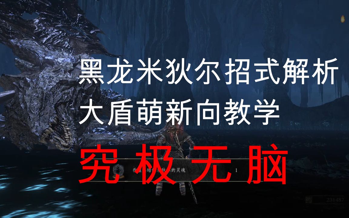 【黑暗之魂3】【萌新向】黑龙米狄尔无脑大盾举盾流打法教学.黑龙米狄尔招式详细解析.新手大盾流黑龙米狄尔攻略.吞噬黑暗的米狄尔怎么打.哔哩哔...