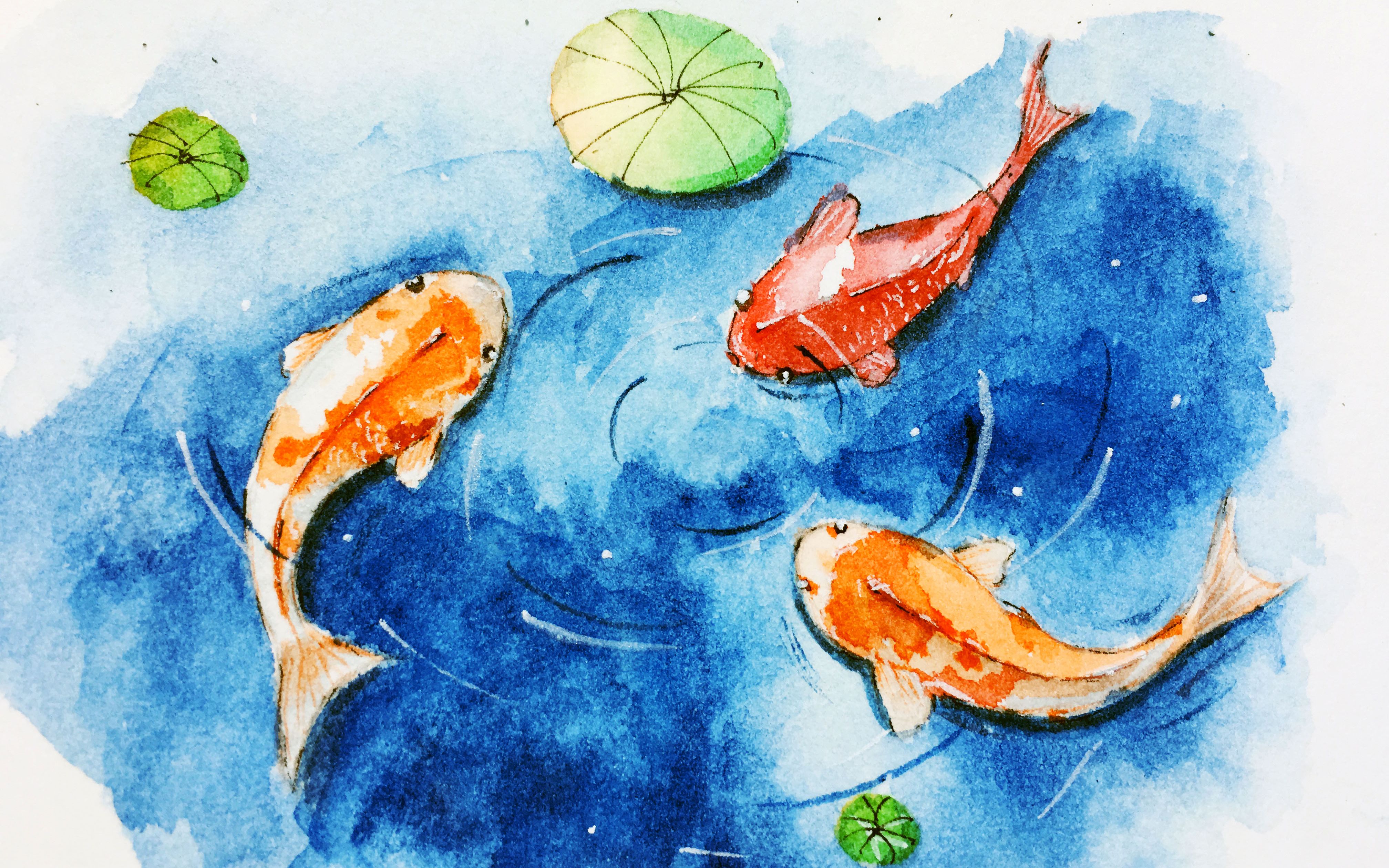 【水彩】手绘教程,锦鲤来啦~简单易学的水彩教程,你有好运了吗