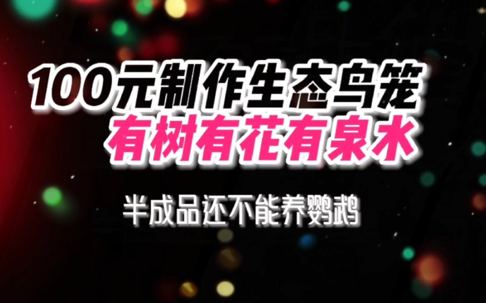 100元制作4平米的生态鸟笼,有草莓有竹子有桃树还有喷泉,就是不能养鹦鹉哔哩哔哩bilibili