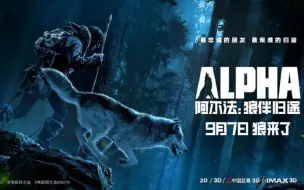 Download Video: 影视原声/阿尔法：狼伴归途 Alpha