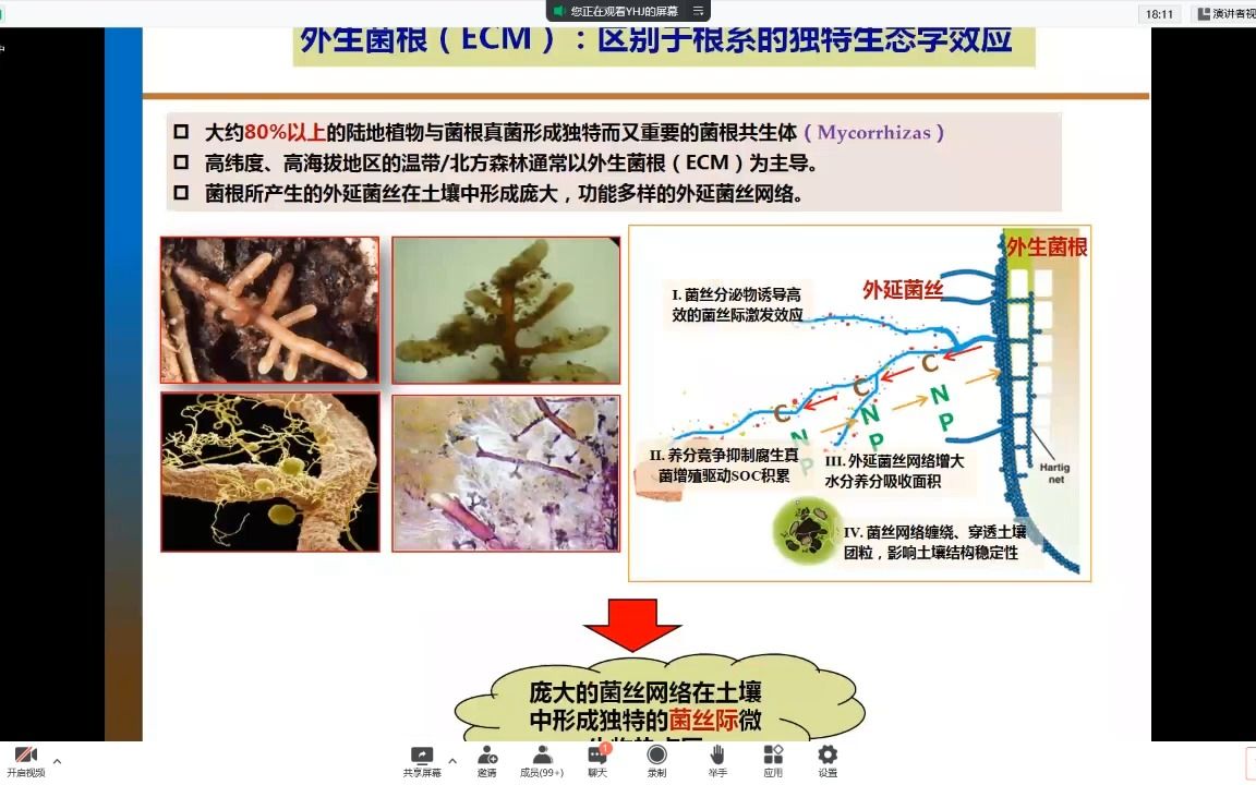 尹华军森林根际生态过程研究20220621哔哩哔哩bilibili