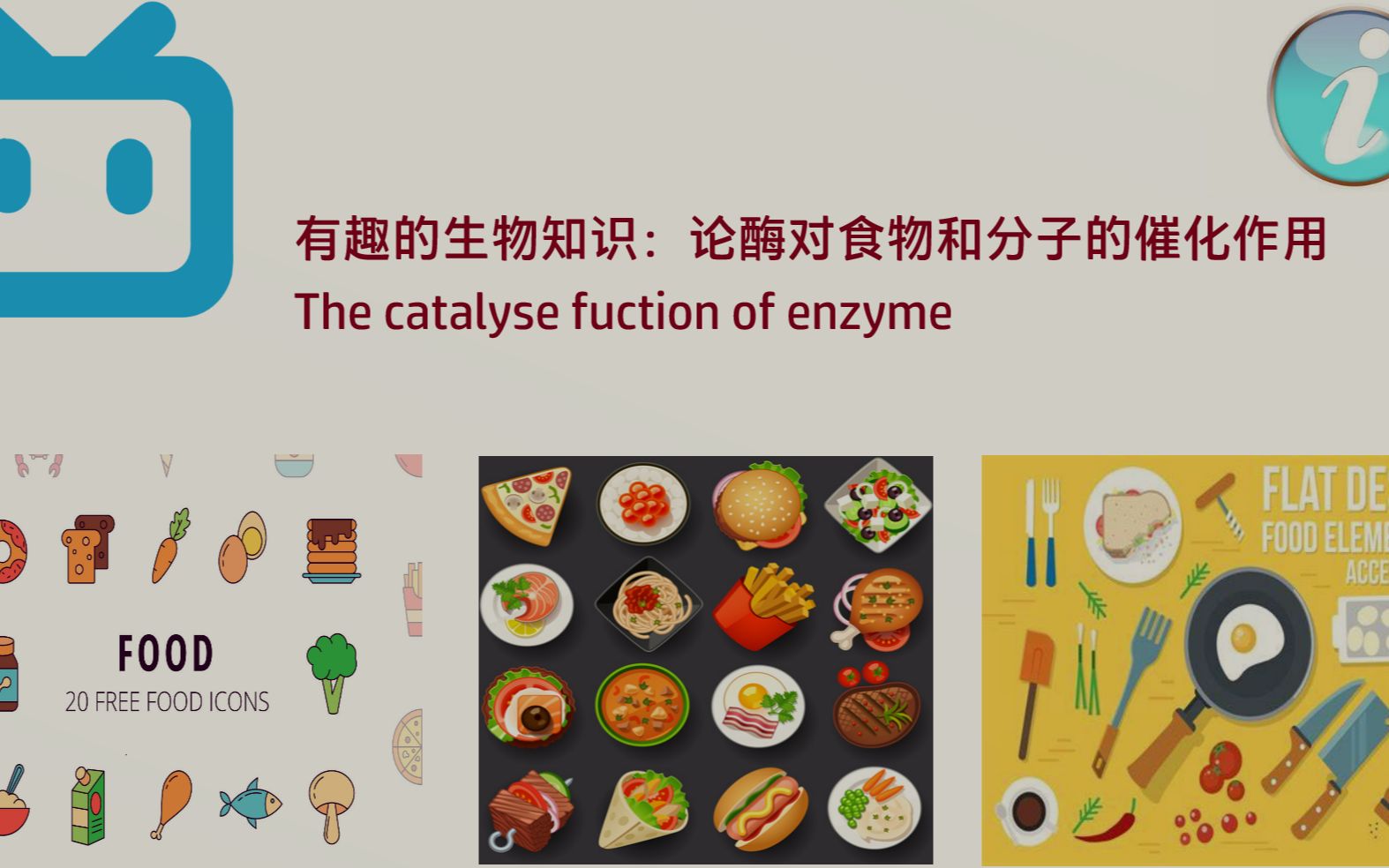 酶对食物和分子的催化作用——英语版哔哩哔哩bilibili