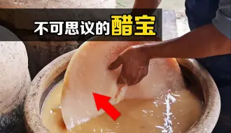 Download Video: 难得一见的醋宝，老醋缸里长出“大肥肉”，能吃吗？为何说它是好东西？