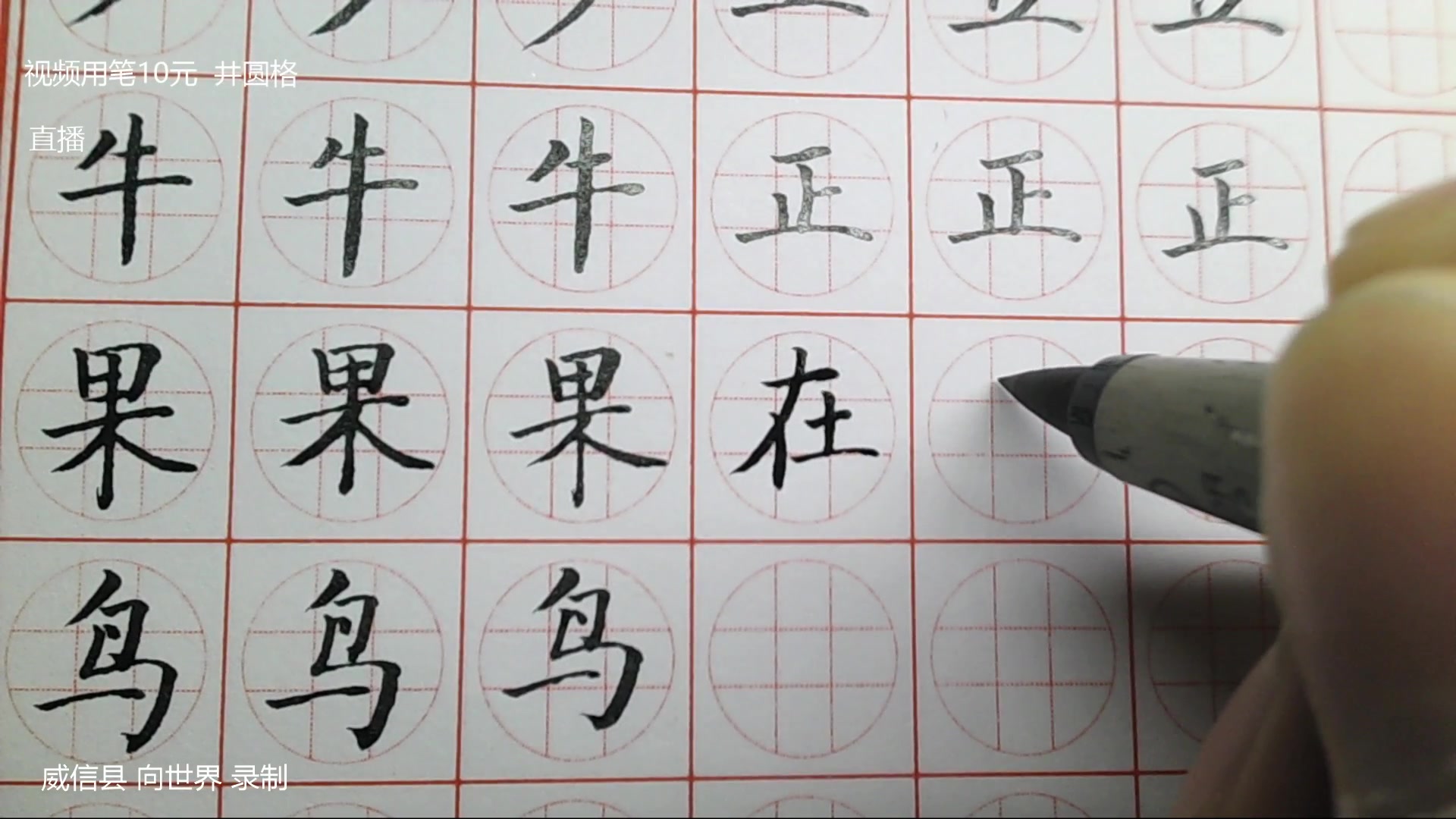 部编人教版小学第一册写字教学成人练字好教材15