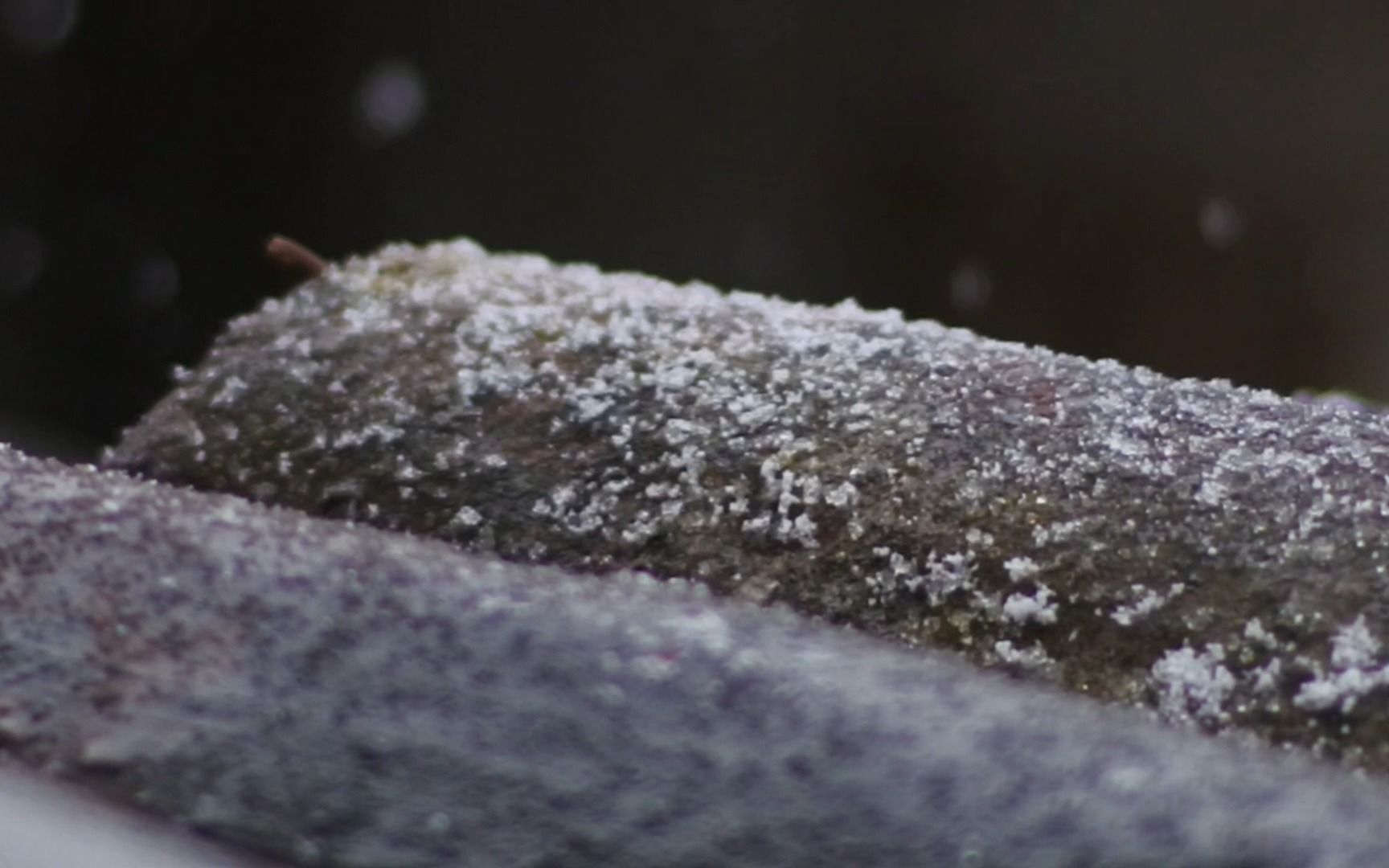 雪景风景/撒盐空中差可拟,未若柳絮因风起哔哩哔哩bilibili