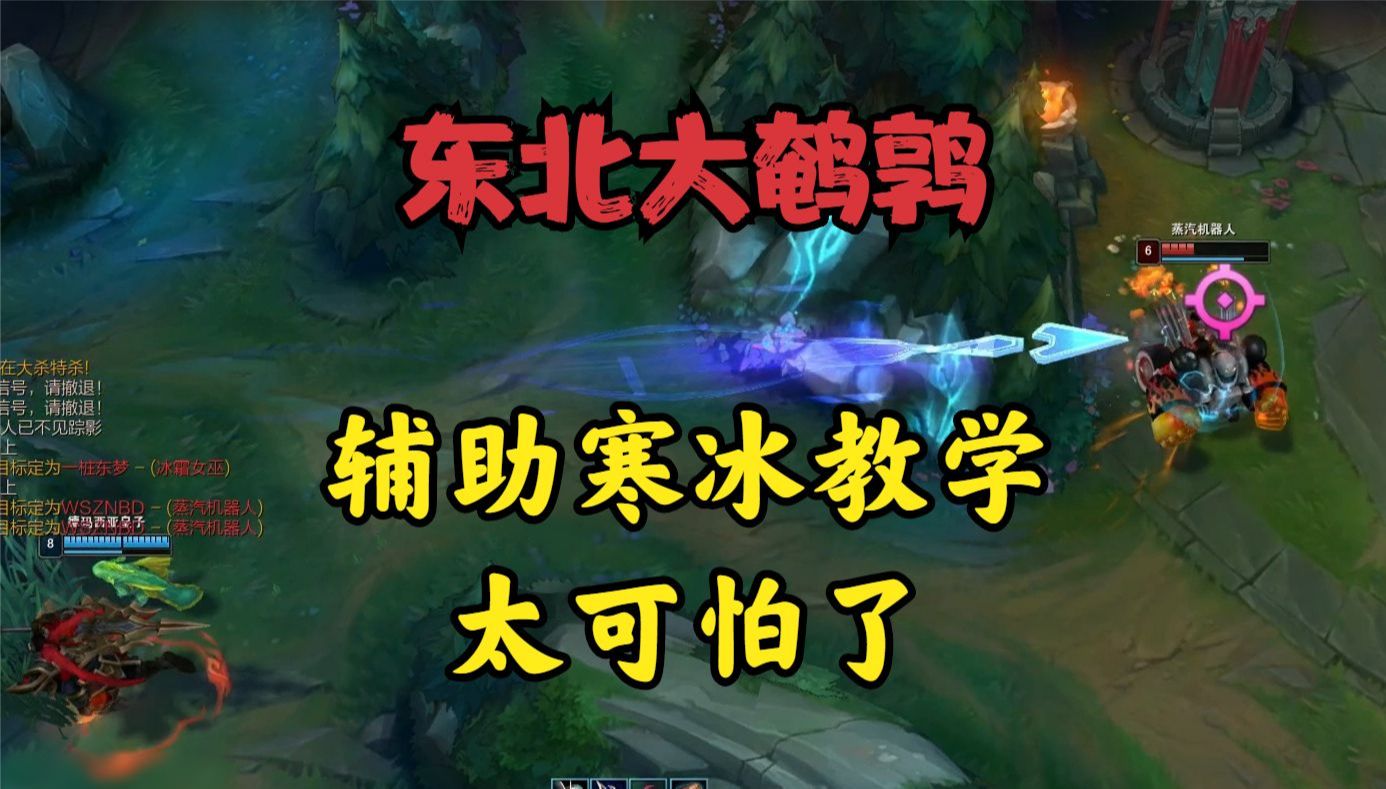 大鹌鹑:辅助寒冰教学!搅屎棍让你们一个都走不了!太可怕了!