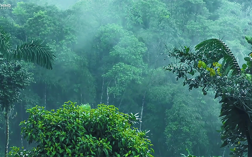 [图]自然治愈 / 雨天的风景+放松小调