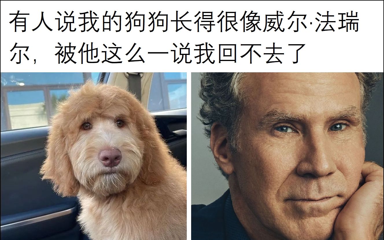 地狱梗图memes #2